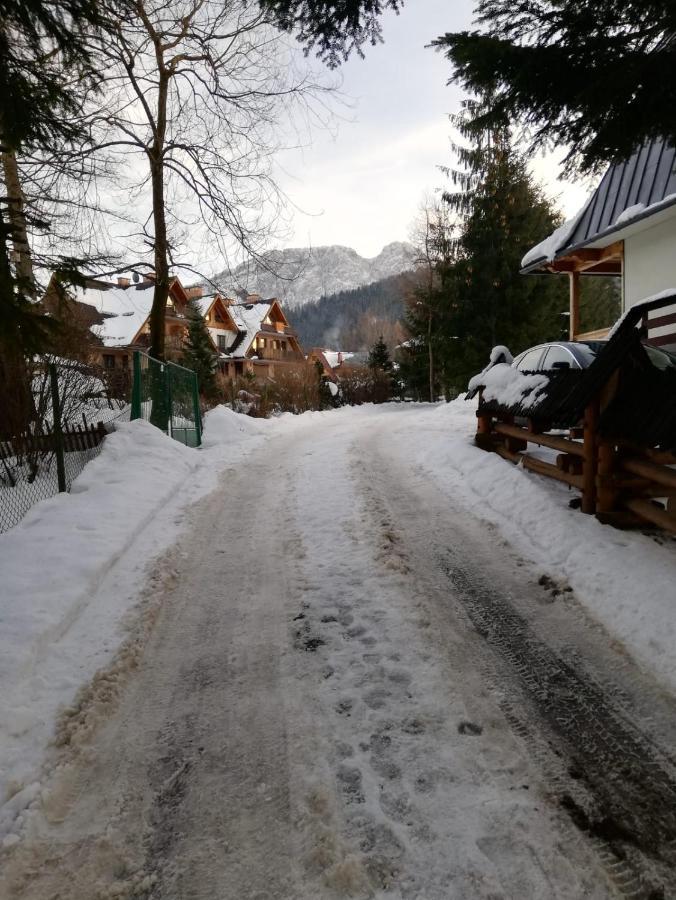 Apartamenty Villa Ski-Bowki Zakopane Exterior photo