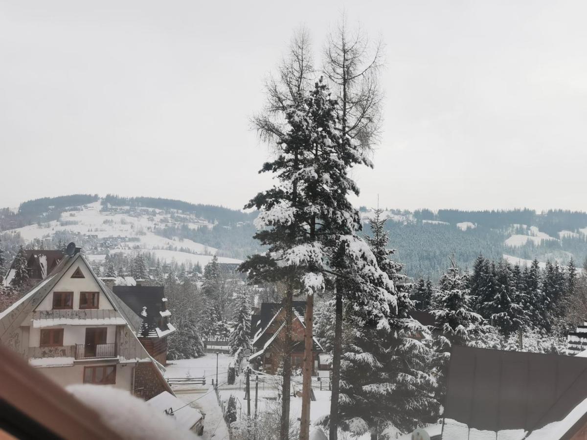 Apartamenty Villa Ski-Bowki Zakopane Exterior photo